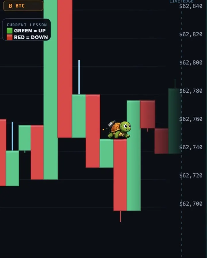 Finn exploring a Bitcoin candlestick chart